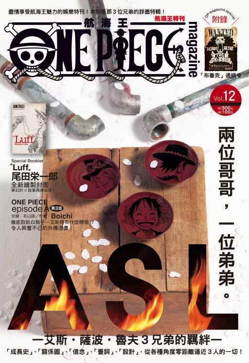 ONE PIECE航海王特刊 12