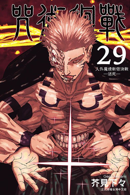 咒術迴戰 29 (首刷限定版)