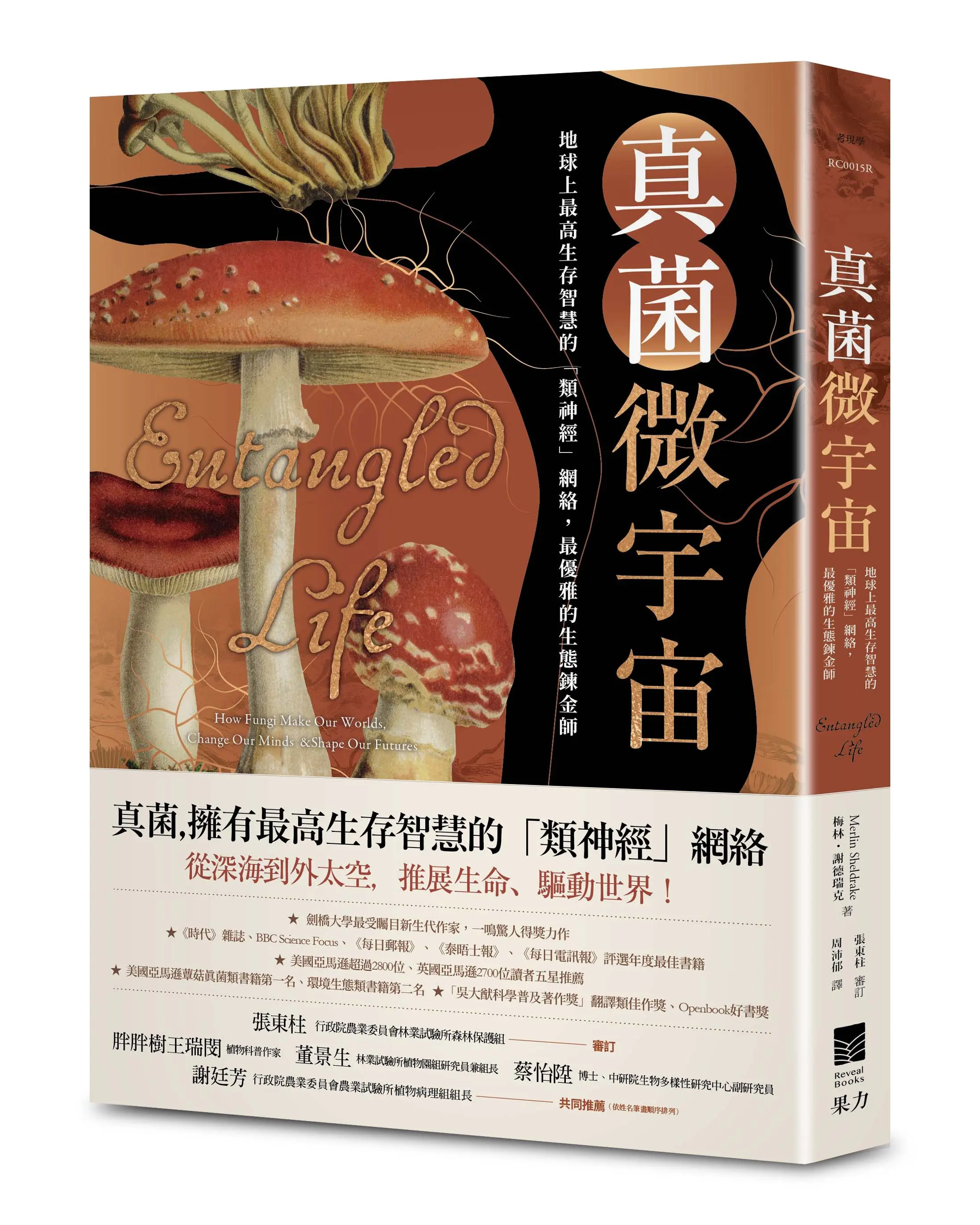 真菌微宇宙: 地球上最高生存智慧的類神經網絡, 最優雅的生態鍊金師