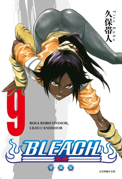 BLEACH死神 愛藏版 9