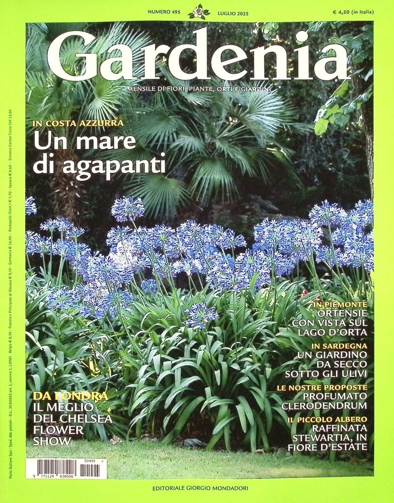 Gardenia (Jul/No.495/2025)