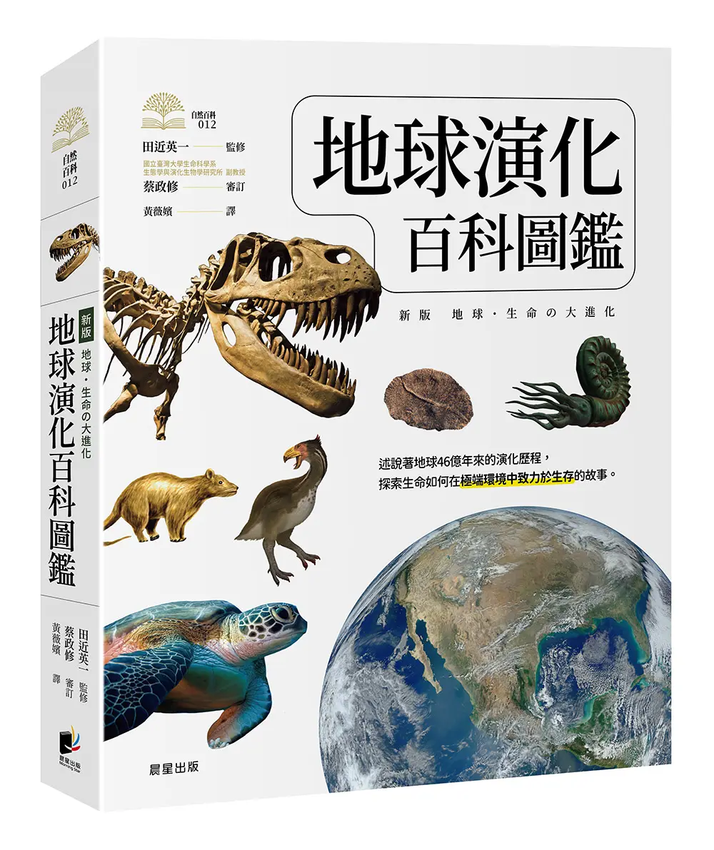 奇蹟之星