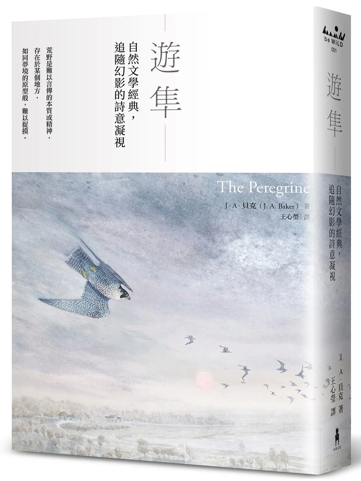 遊隼: 自然文學經典, 追隨幻影的詩意凝視