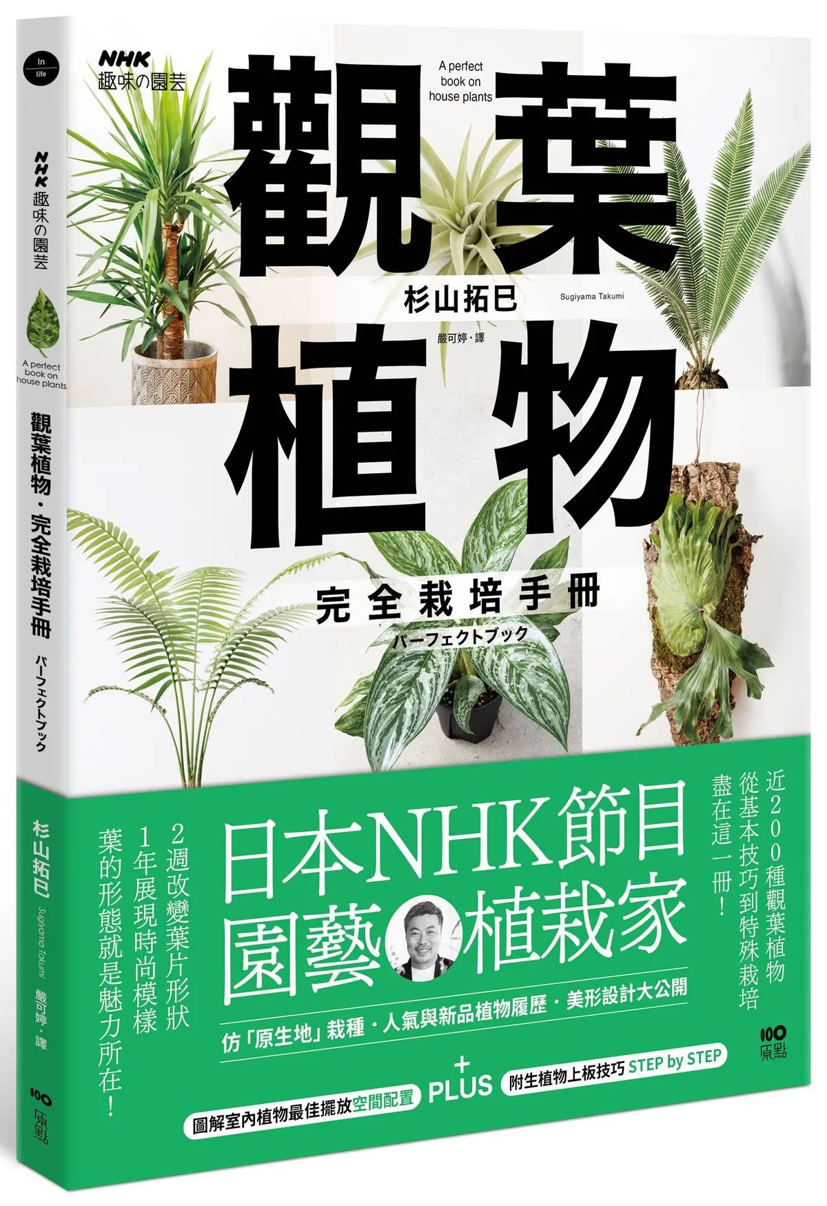 觀葉植物完全栽培手冊: 日本NHK節目園藝植栽家, 仿原生地栽種、人氣與新品植物履歷、美形設計大公開