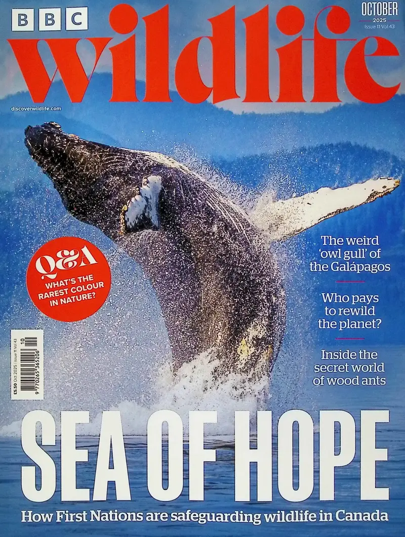 BBC Wildlife (Oct/2025)