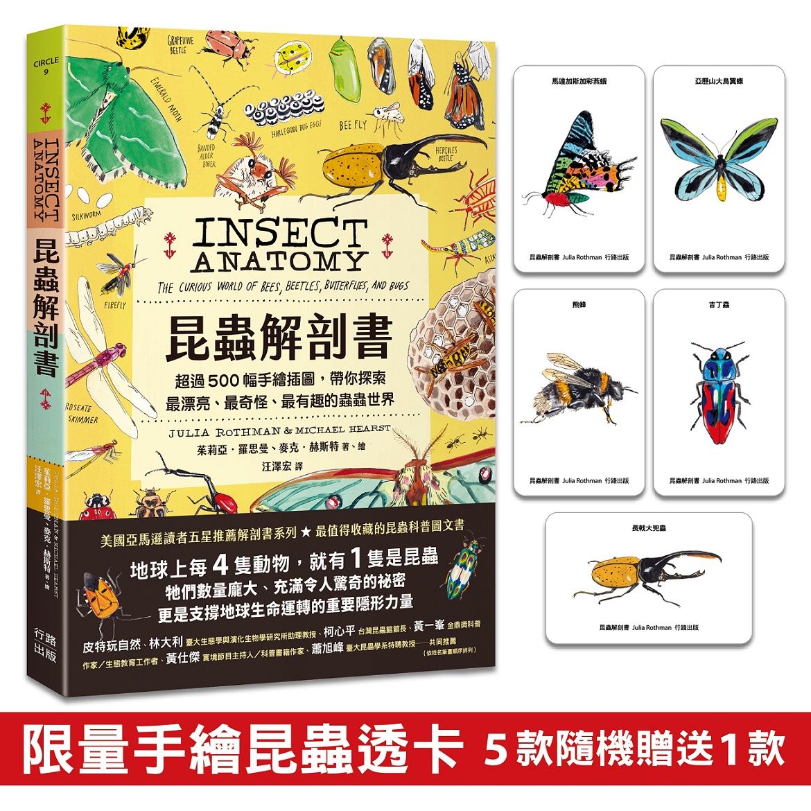昆蟲解剖書: 超過500幅手繪插圖, 帶你探索最漂亮、最奇怪、最有趣的蟲蟲世界 (附限量作者手繪昆蟲透卡)