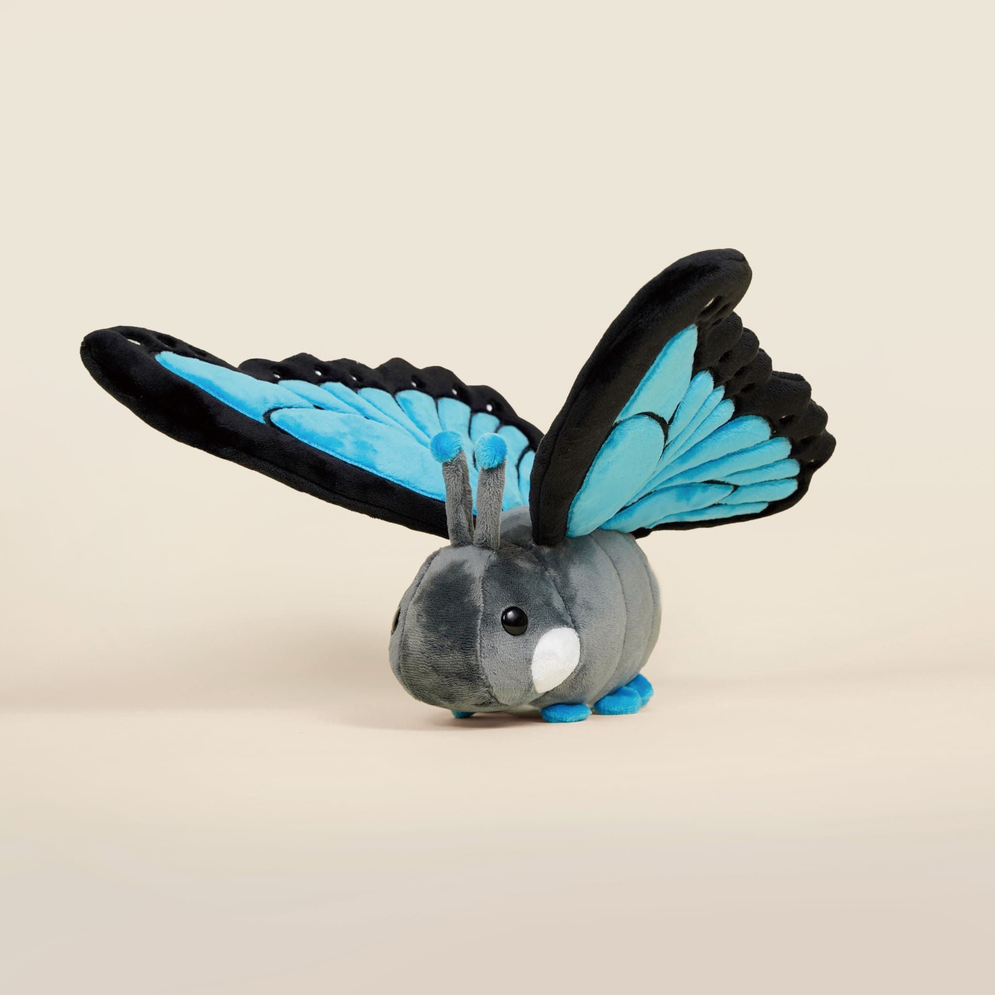 Bellzi Morpho Butti大藍閃蝶玩偶