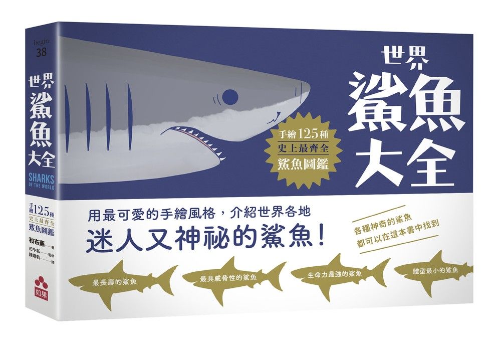 認識鯊魚好機會