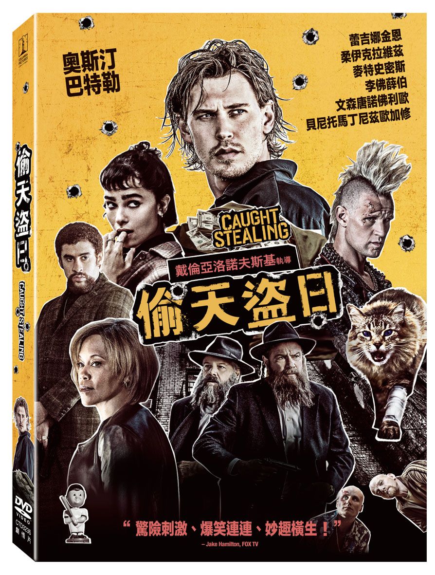 偷天盜日 (DVD)