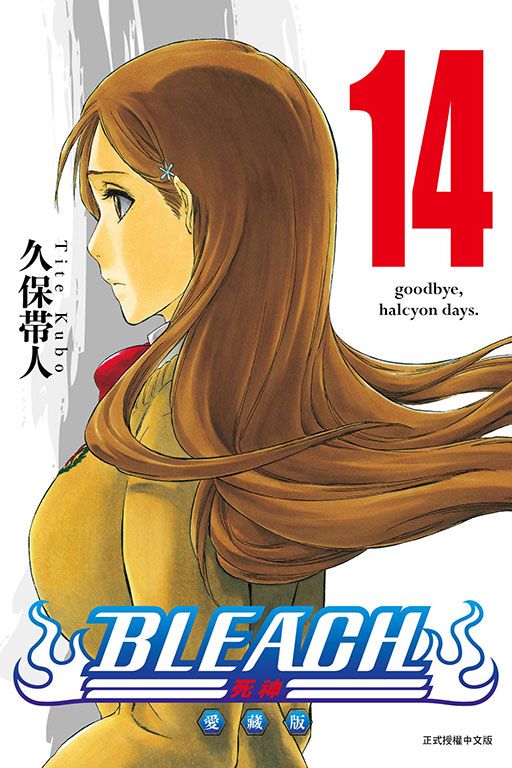 BLEACH死神 愛藏版 14