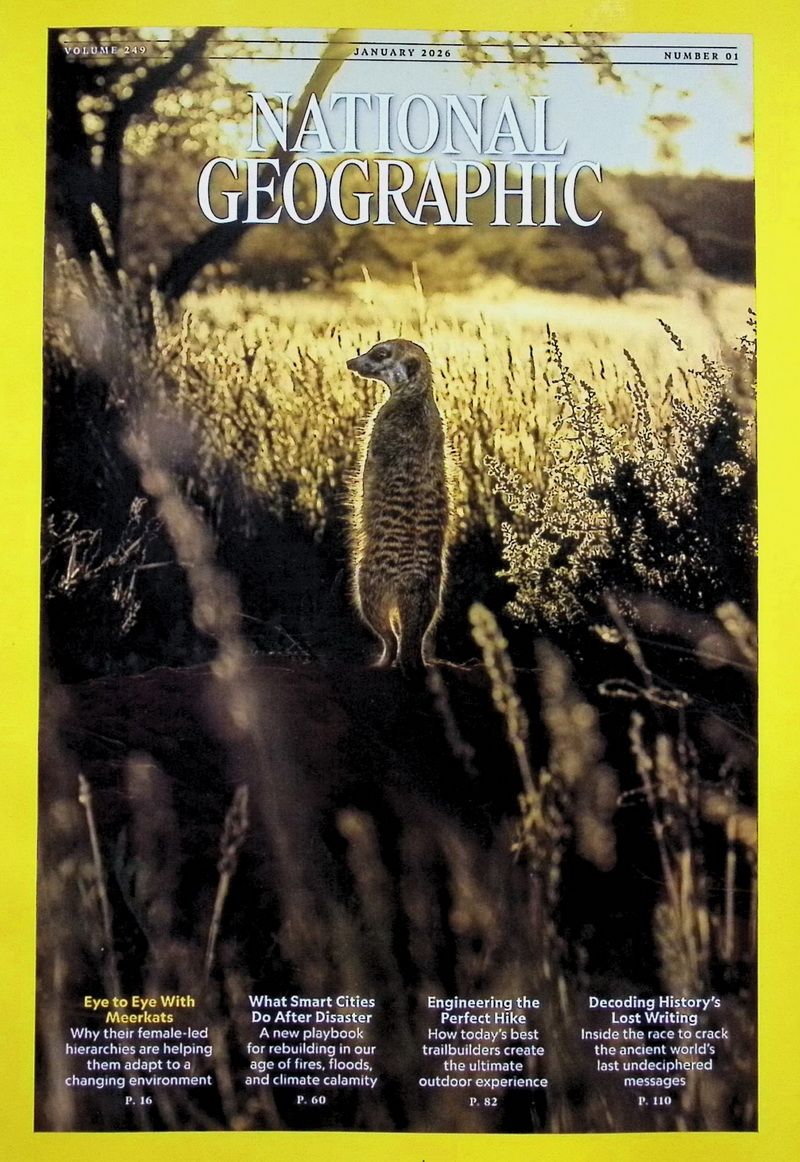 NATIONAL GEOGRAPHIC (Jan/2026)