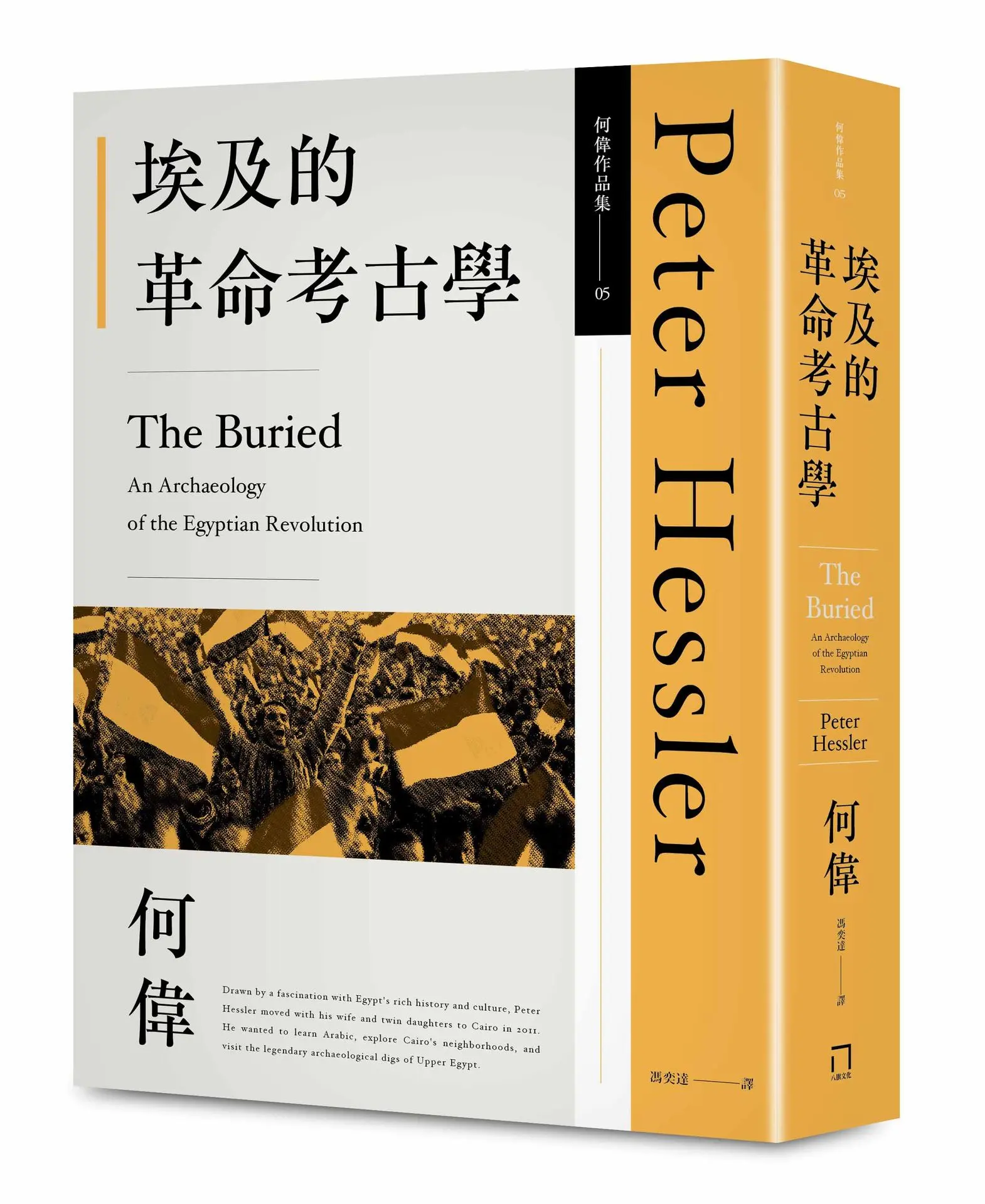 埃及的革命考古學 (修訂第2版)