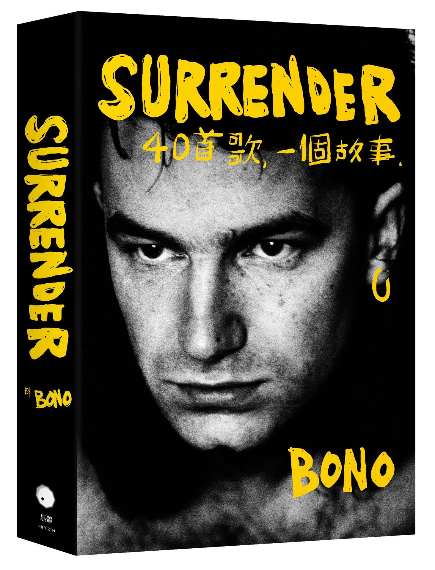 Surrender: 40首歌, 一個故事