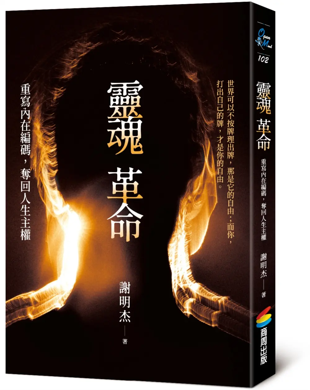 靈魂革命: 重寫內在編碼, 奪回人生主權