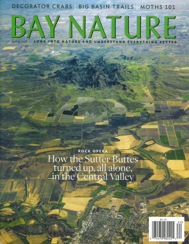 BAY NATURE (Spr/2026)