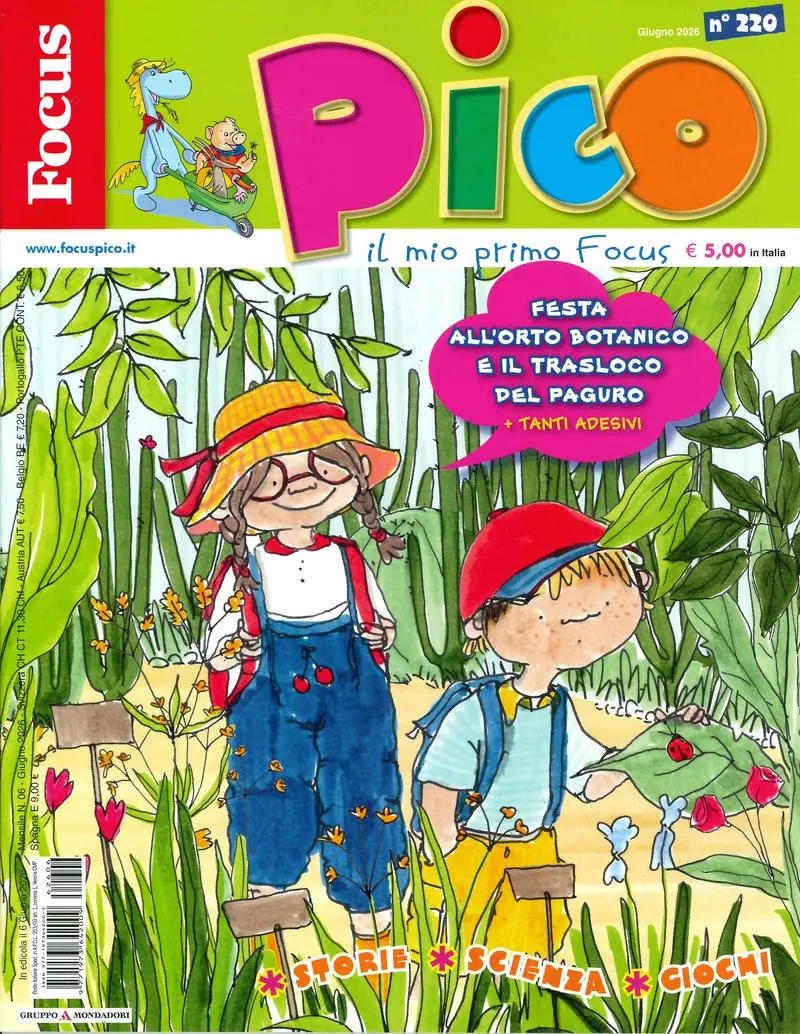 Focus Pico (Jun/No.220/2026)