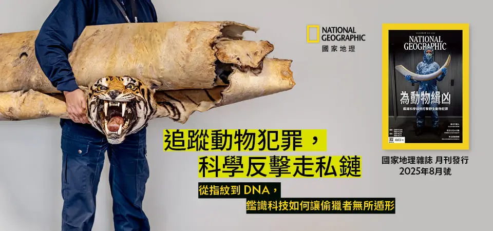 國家地理雜誌