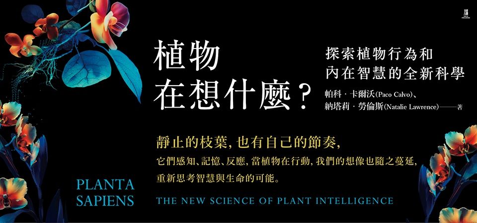 植物在想什麼? 探索植物行為和內在智慧的全新科學_精選8
