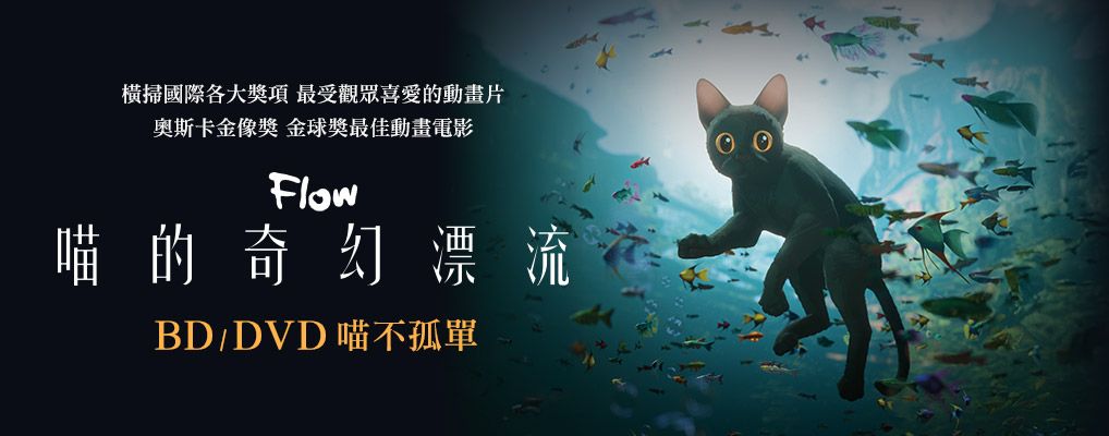 喵的奇幻漂流