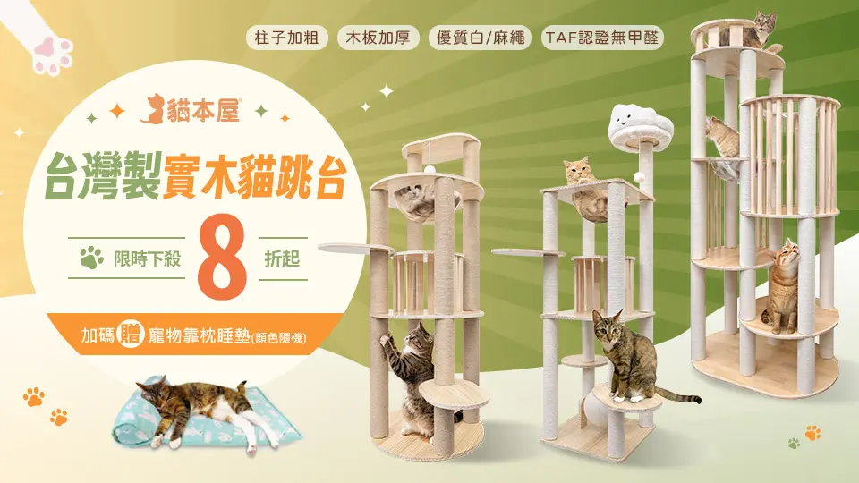 貓本屋 貓跳台 8折起