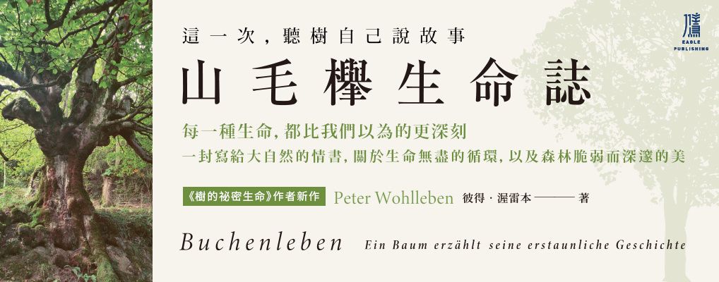 山毛櫸生命誌: 樹的祕密生命作者新作: 這一次, 聽樹自己說故事