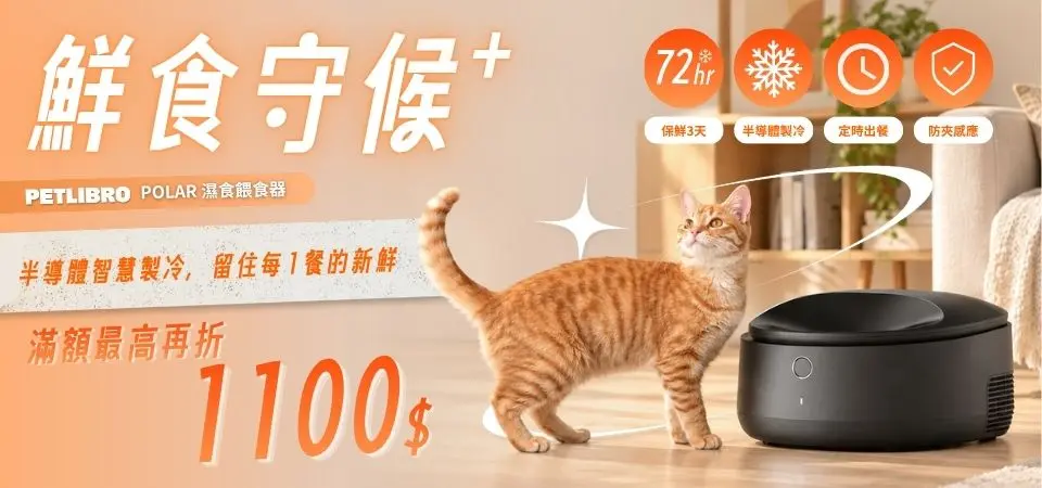 (大陽電商)餵食器 滿額最高折$1100
