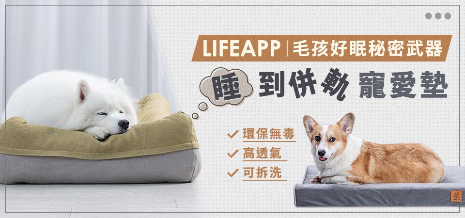 LIFEAPP