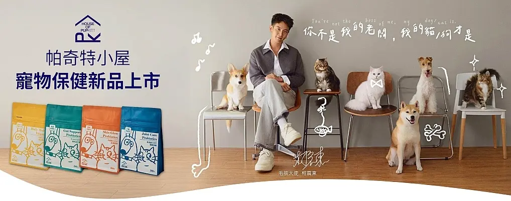 帕奇特小屋 形象