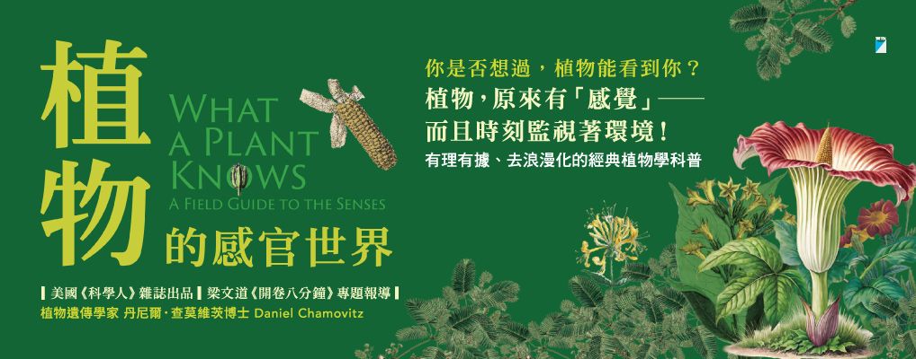 植物的感官世界