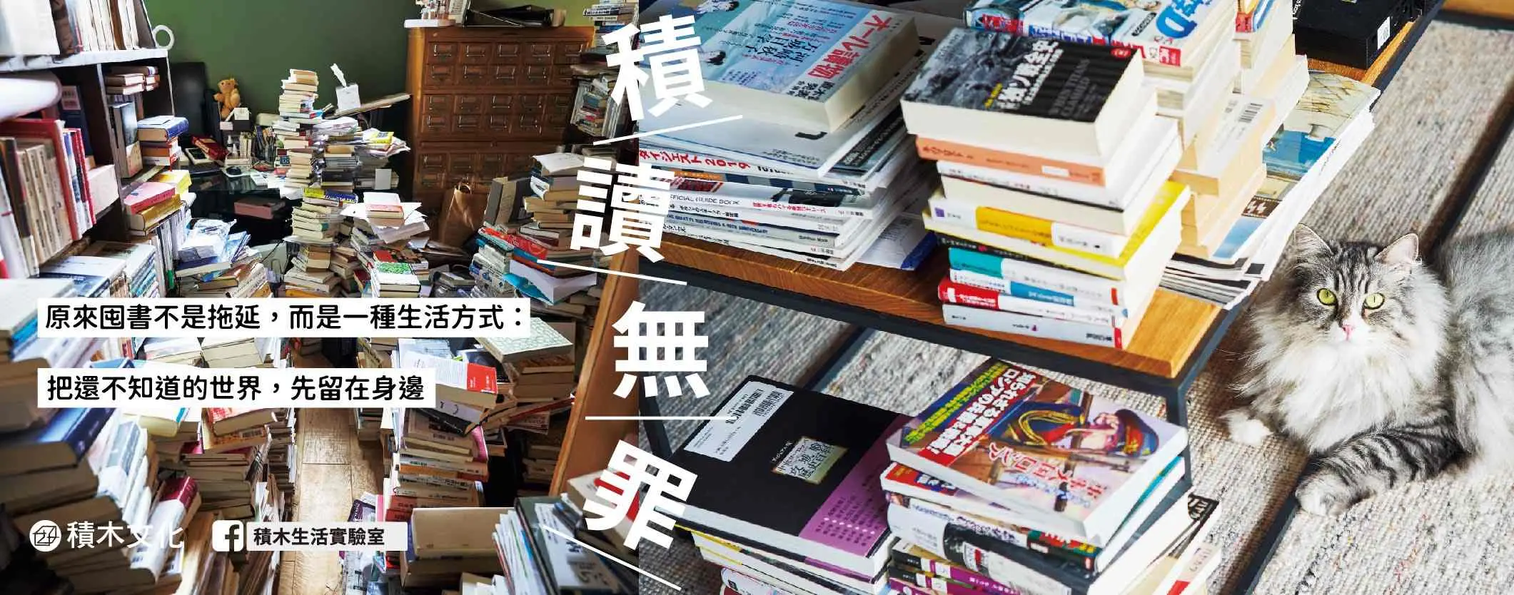積讀無罪: 有些書, 不必急著讀完