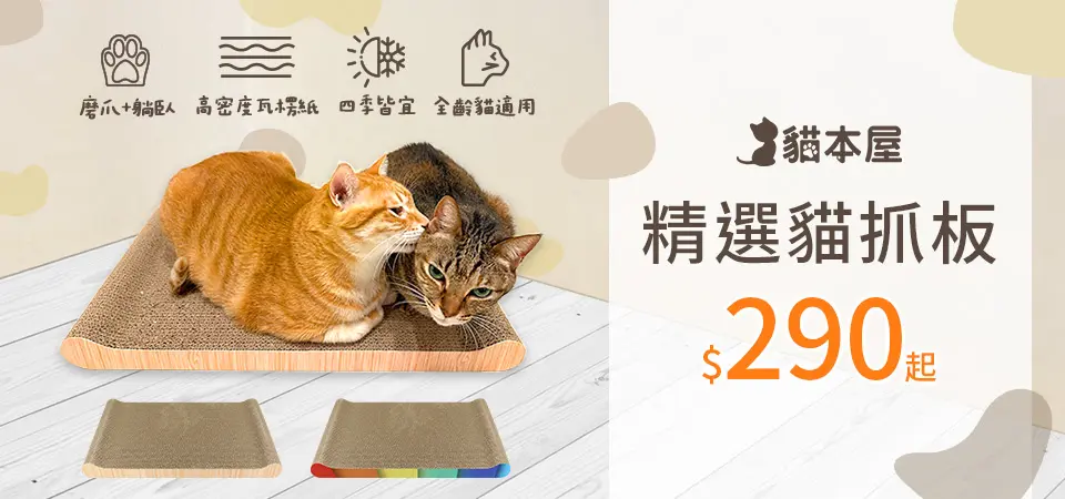 貓本屋 貓抓板$290起
