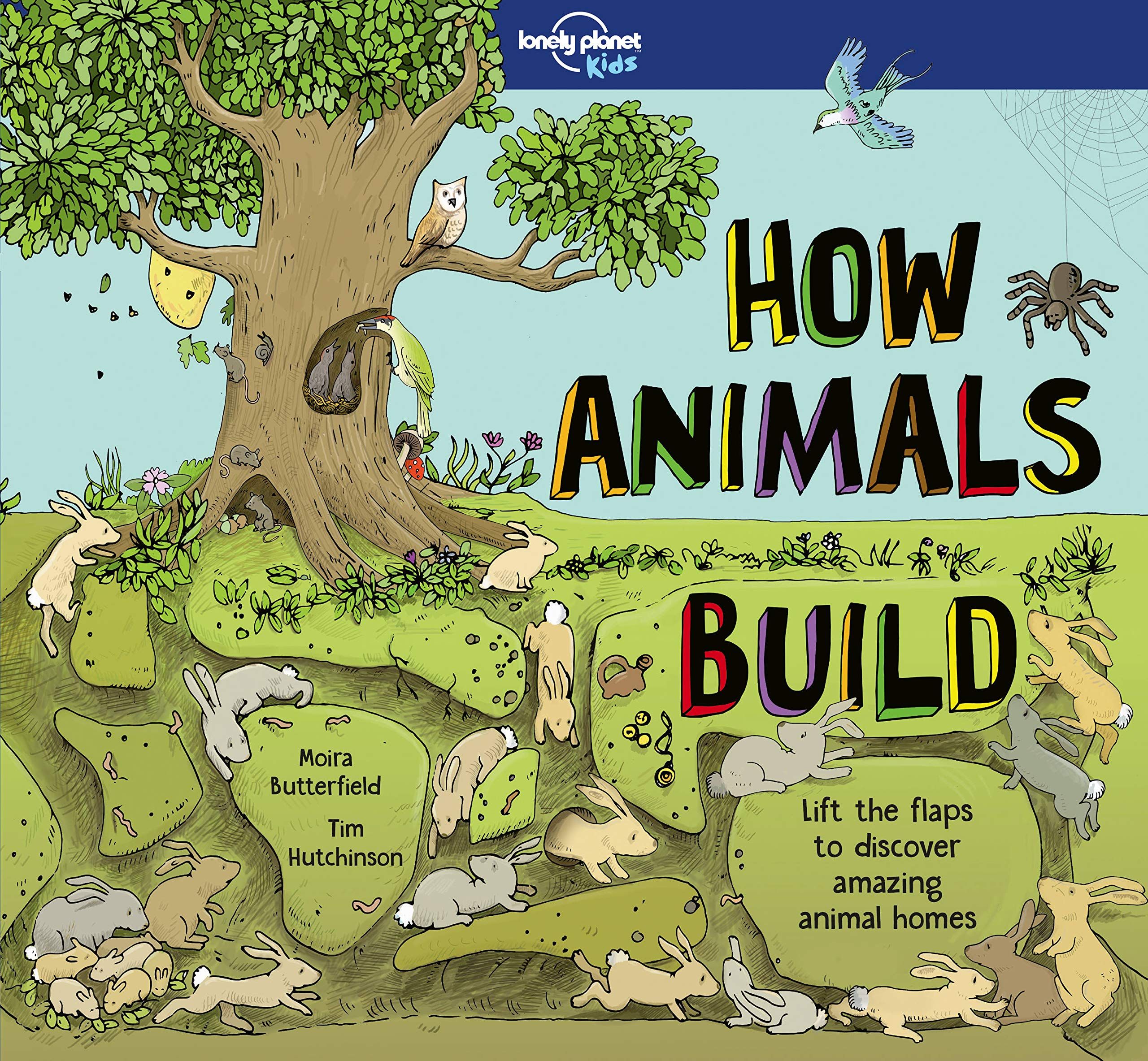 Lonely Planet Kids How Animals Build: Lift the Flaps & Discover Amazing Creature Homes Explore Bird Nests, Ant Colonies, Spider Webs Beautiful Illustr
