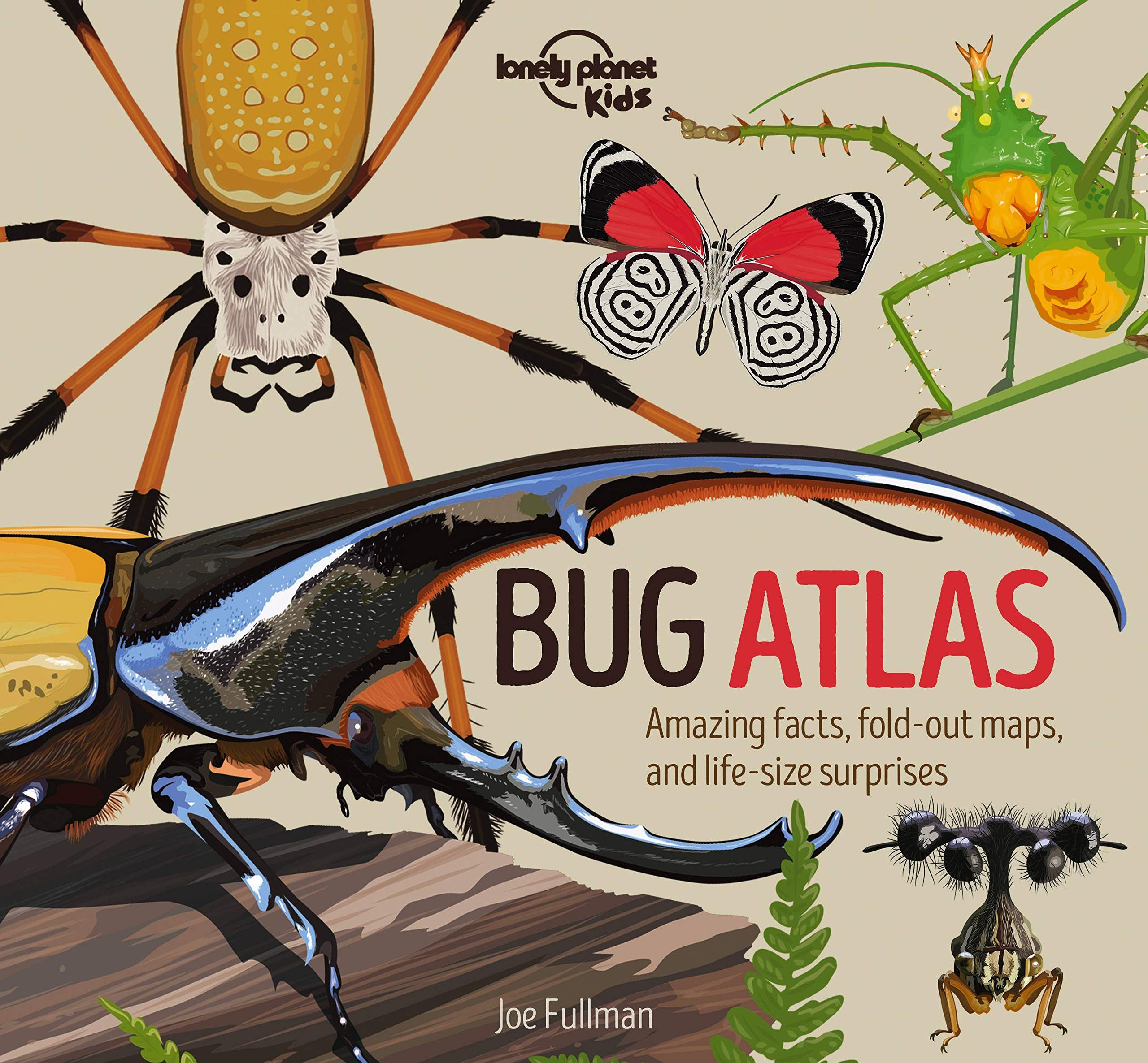 Lonely Planet Kids Bug Atlas: Amazing Facts & Fold Out Maps Meet Spiders, Butterflies, Beetles & More Packed with Beautiful Illustrations & Macro Phot
