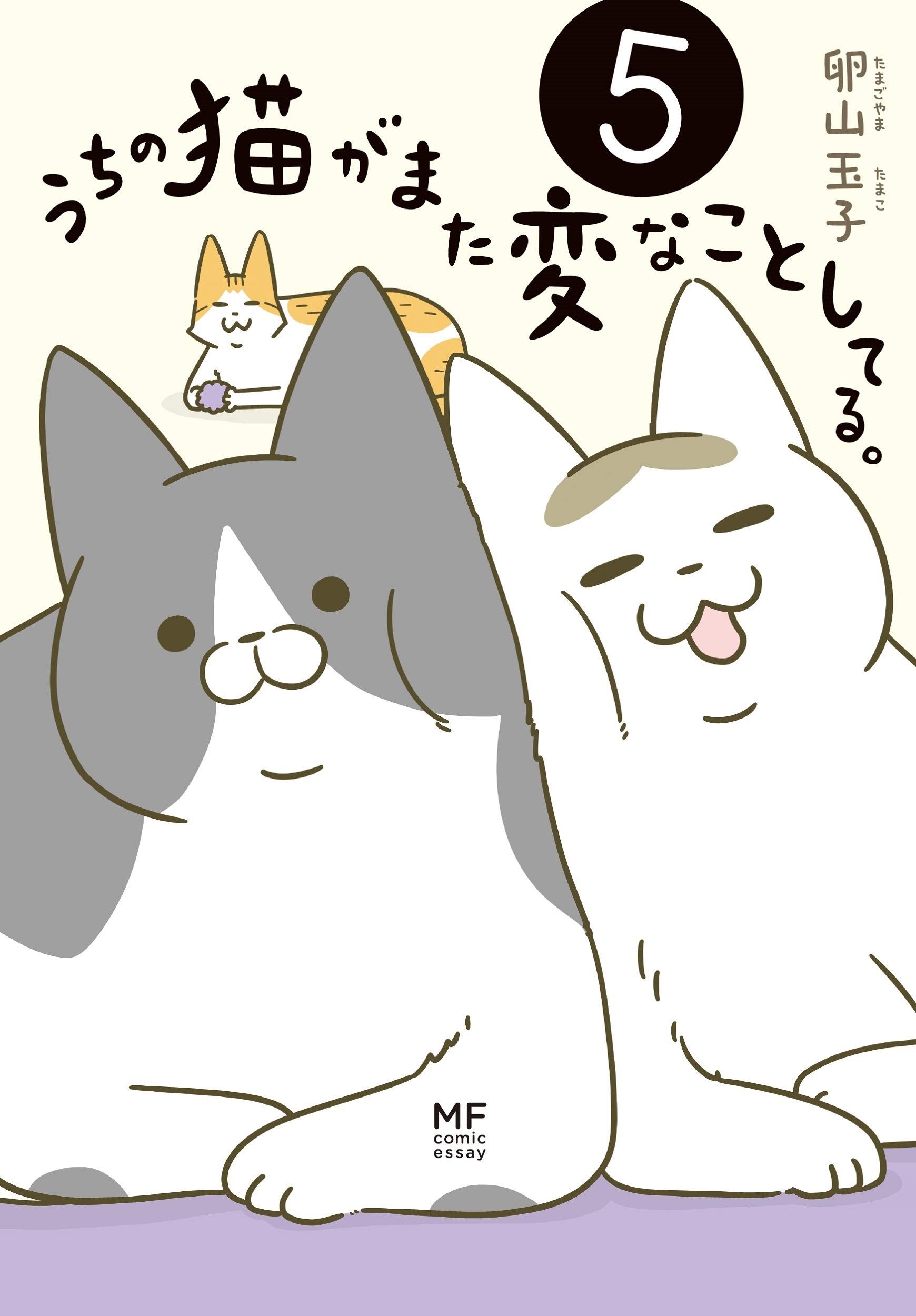 うちの猫がまた変なことしてる。 5 メディアファクトリーのコミックエッセイ