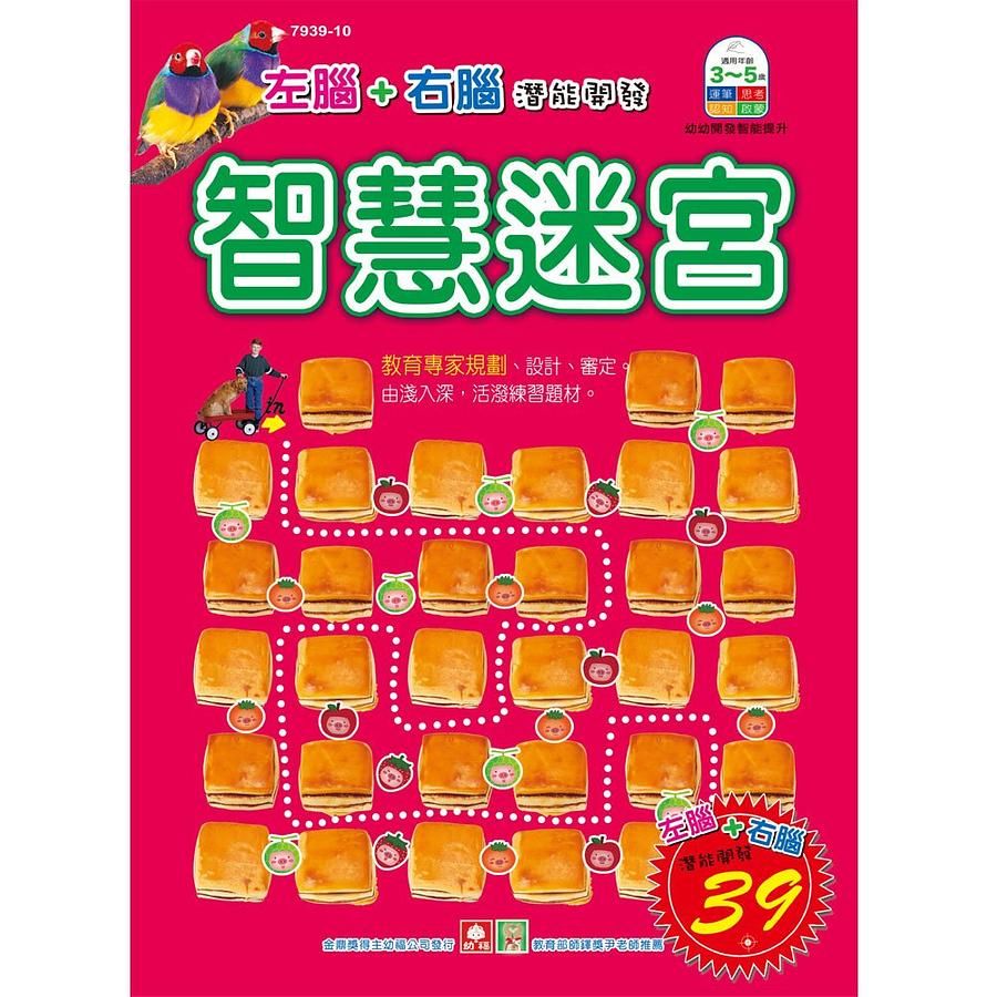 智慧迷宮