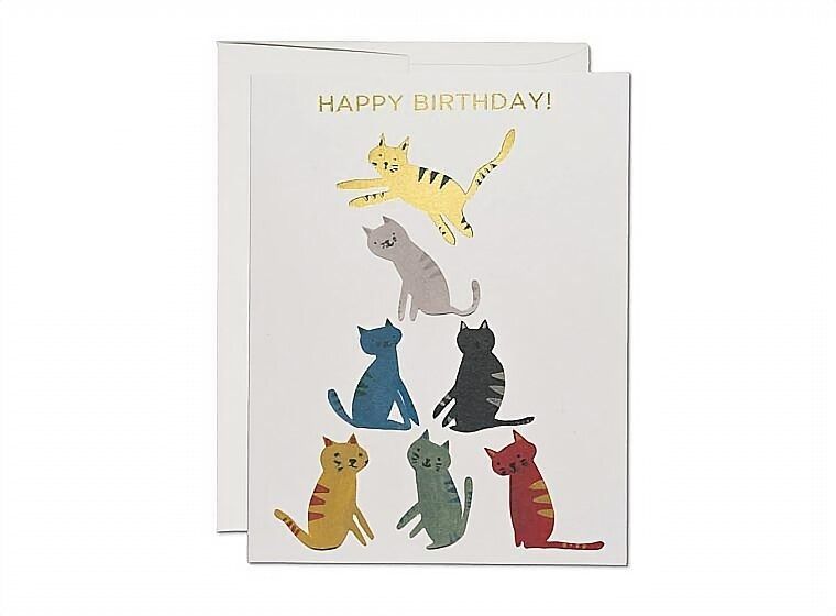 美國RED CAP生日卡/ Good Kitty/ Foil