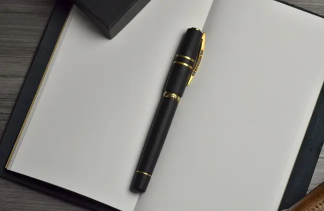 VISCONTI Homo Sapiens Bronze鋼筆/ B