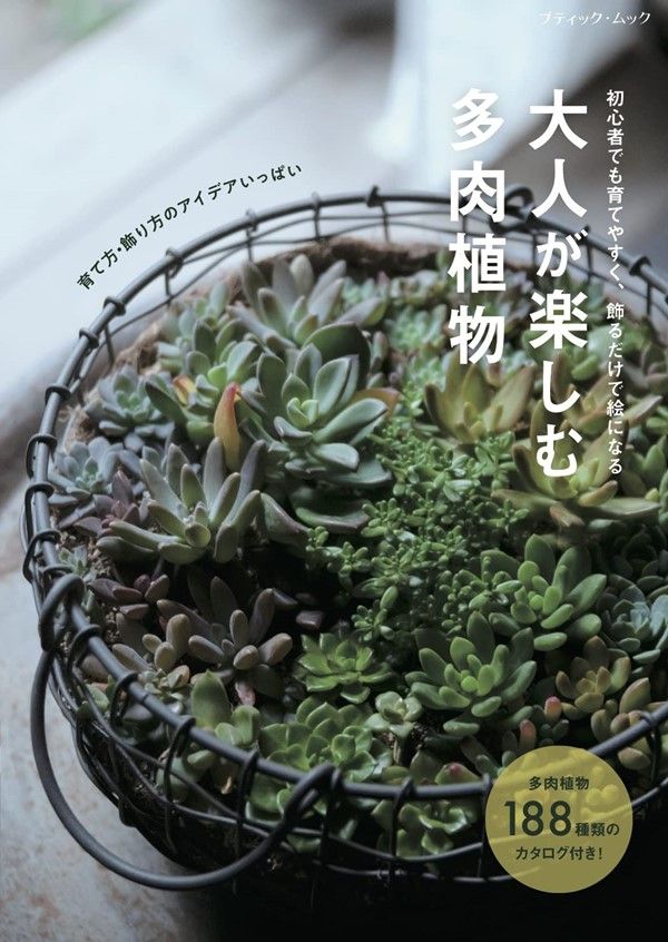 大人が楽しむ多肉植物