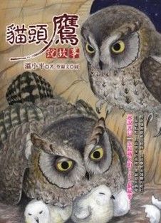 貓頭鷹說故事