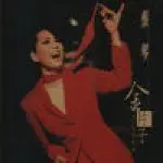 金片子 I