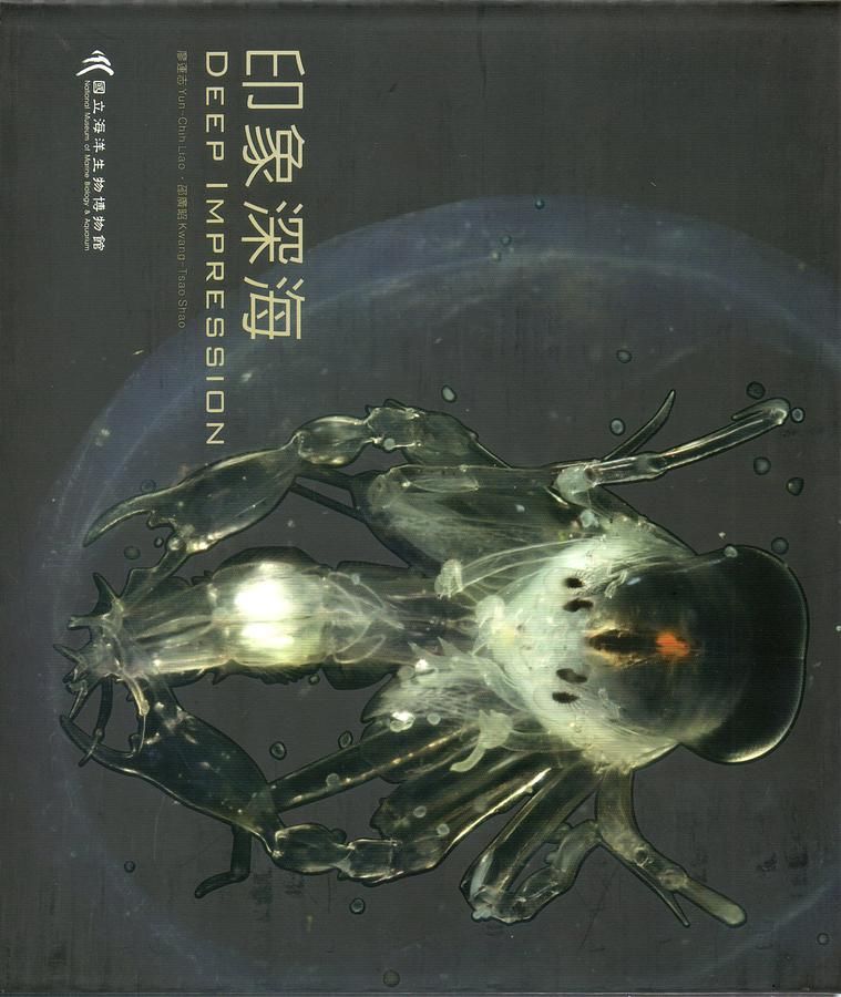 印象深海