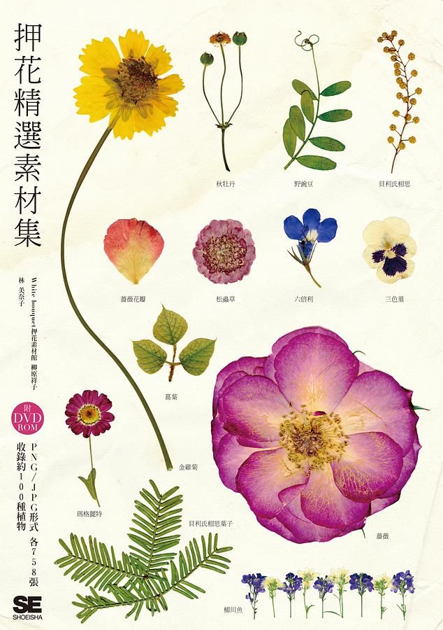押花精選素材集 (附DVD-R)