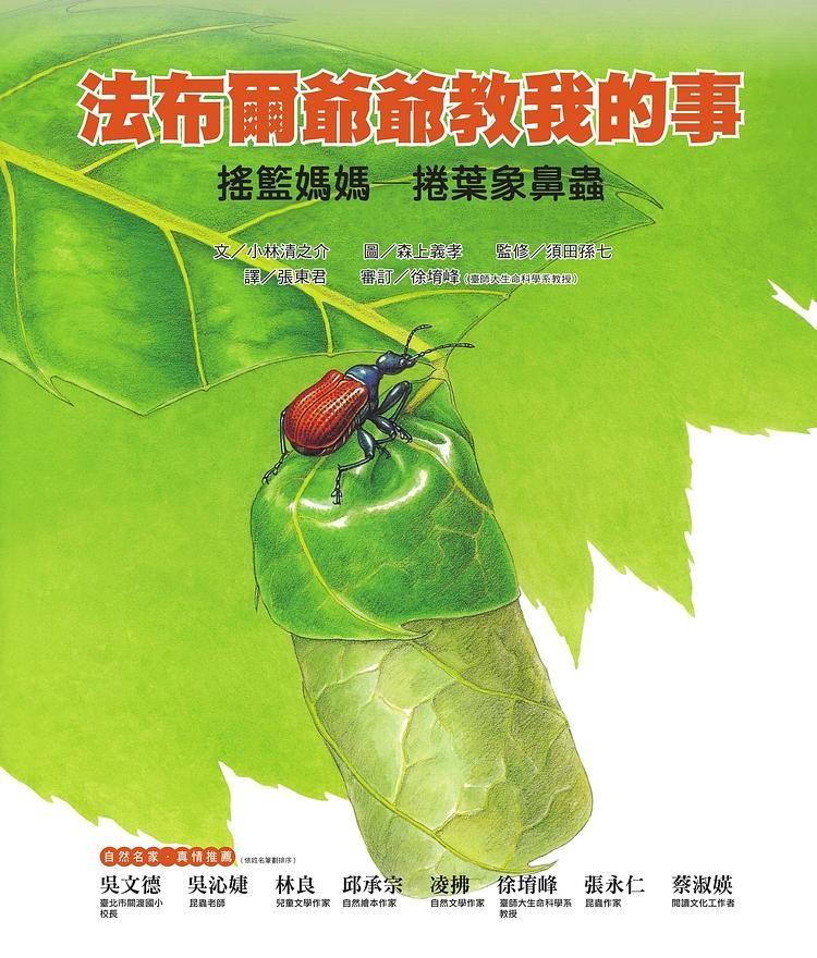 法布爾爺爺教我的事: 搖籃媽媽捲葉象鼻蟲