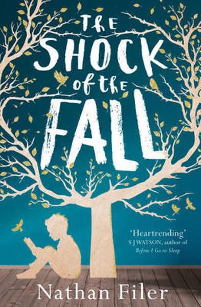 The Shock of the Fall