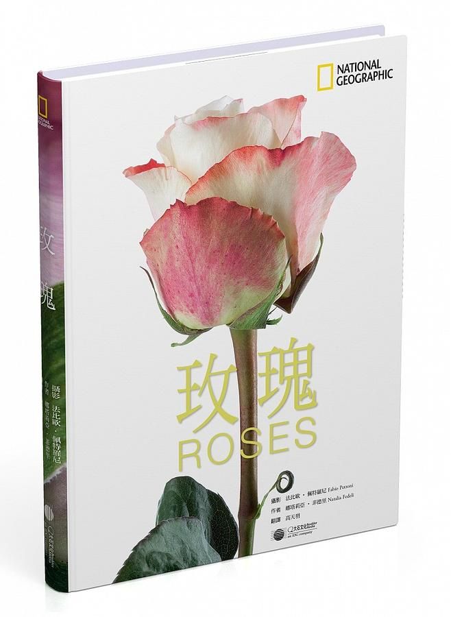 玫瑰
