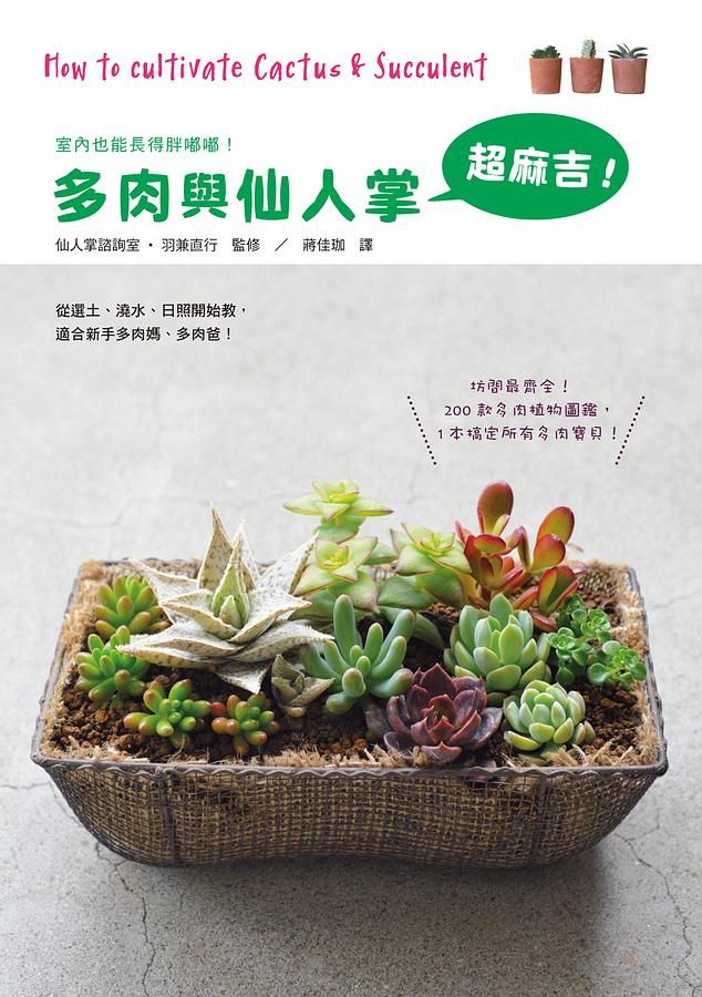 多肉與仙人掌超麻吉! 室內也能長的胖嘟嘟!