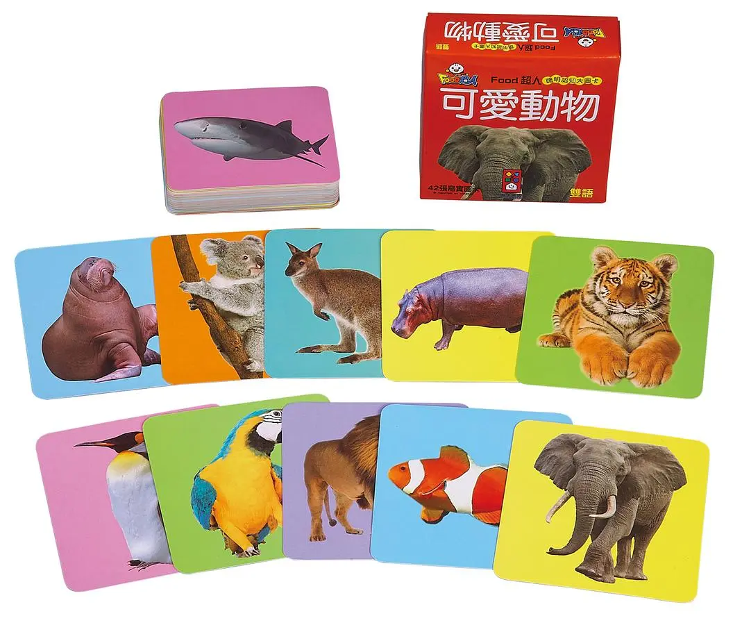 Food超人聰明認知大圖卡/ 可愛動物