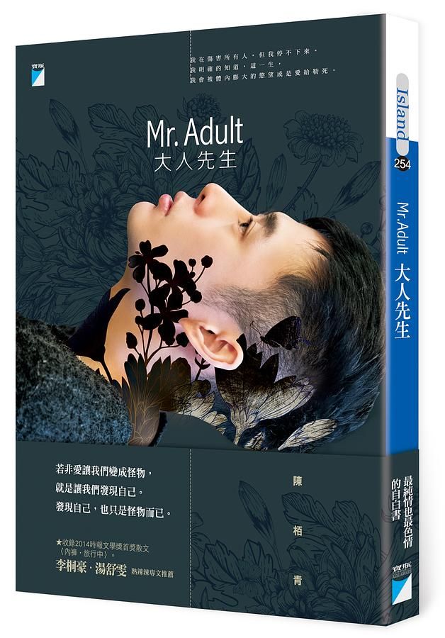 Mr. Adult 大人先生
