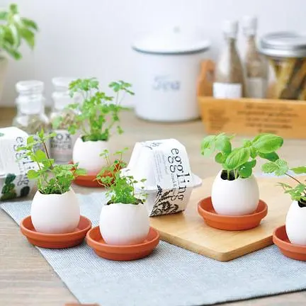 聖新陶芸Eggling植物栽培蛋/ Eco Friendly/ 薄荷