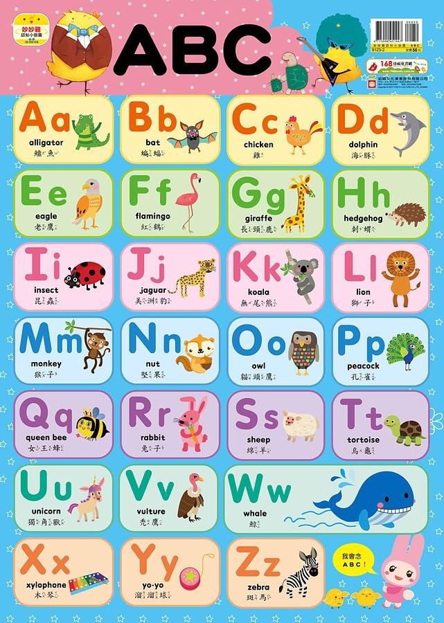 妙妙雞認知小掛圖/ ABC